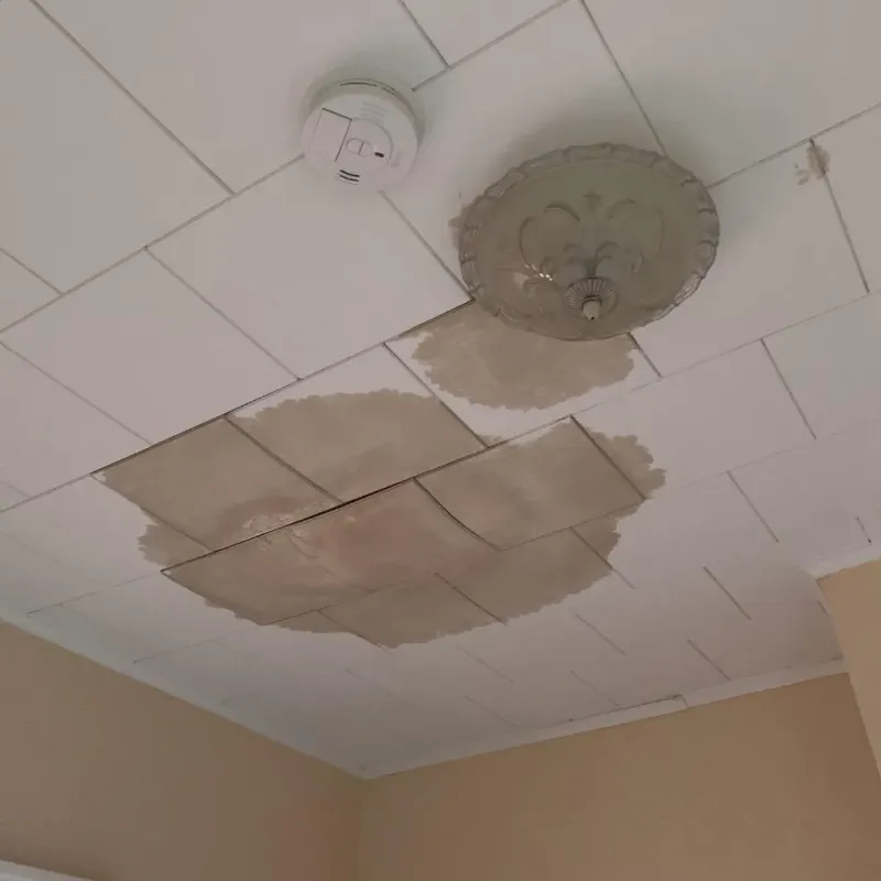 Ceiling Water Damage Repair in Laurinburg, NC