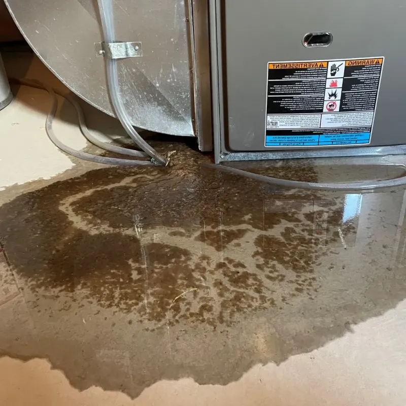 Pipe Burst and Leak Restoration in Laurinburg, NC